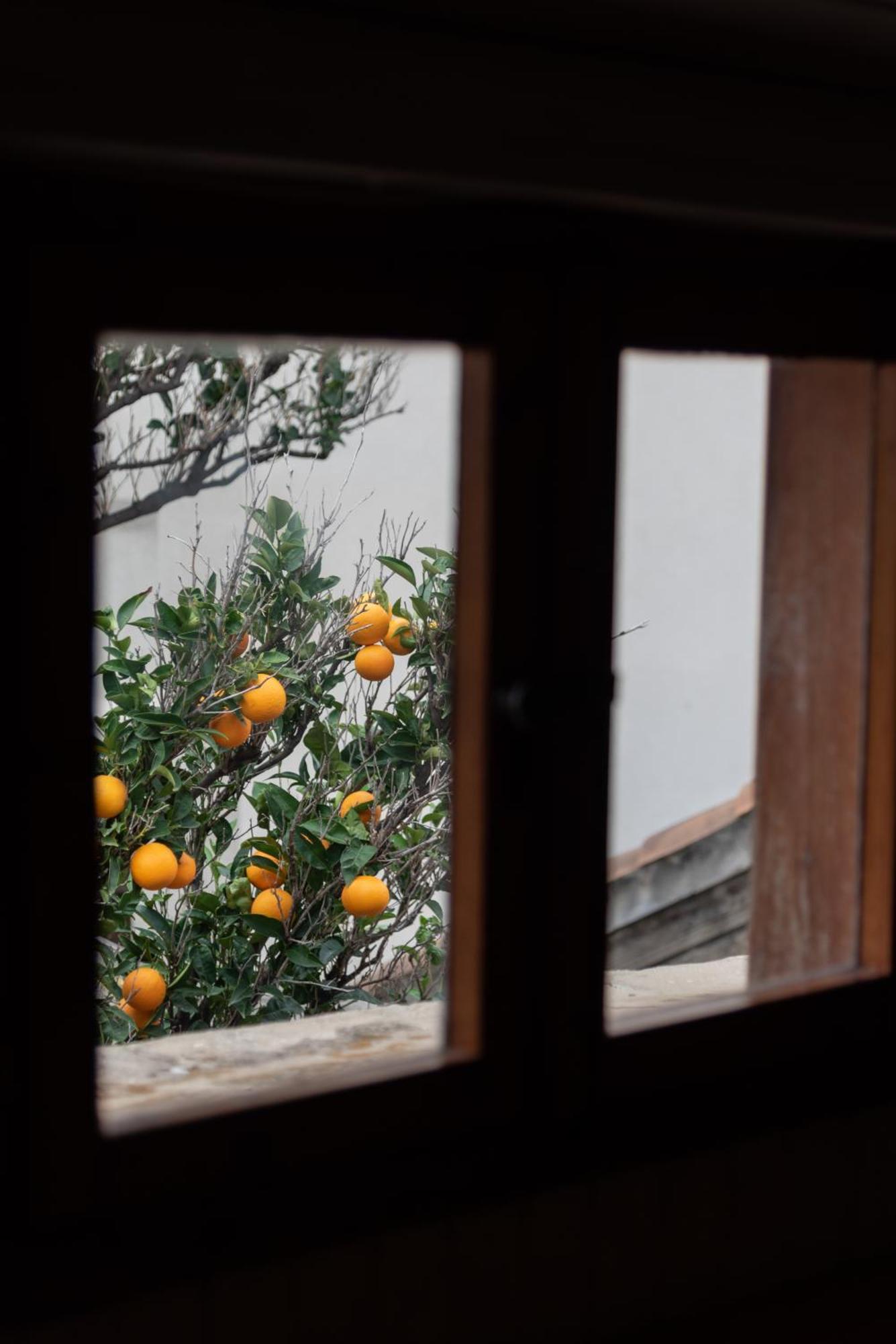 Best Located Duplex Apartment Dubrovnik Exterior photo